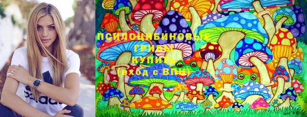 соль ск Заволжск