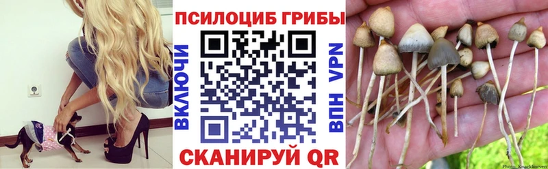 Псилоцибиновые грибы Magic Shrooms  Зея 